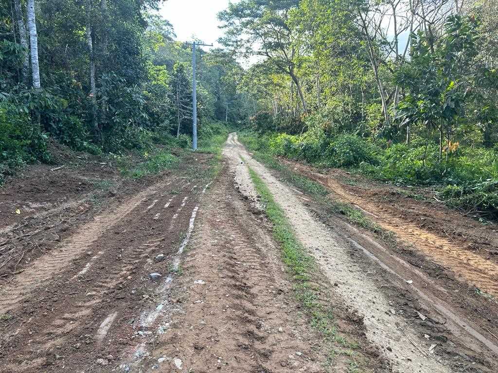 Camacã: Prefeitura faz manutenção na antiga estrada que liga a São João do Panelinha